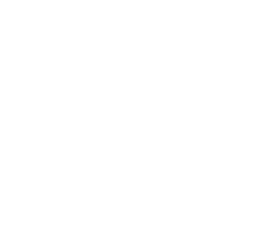 Heart Icon